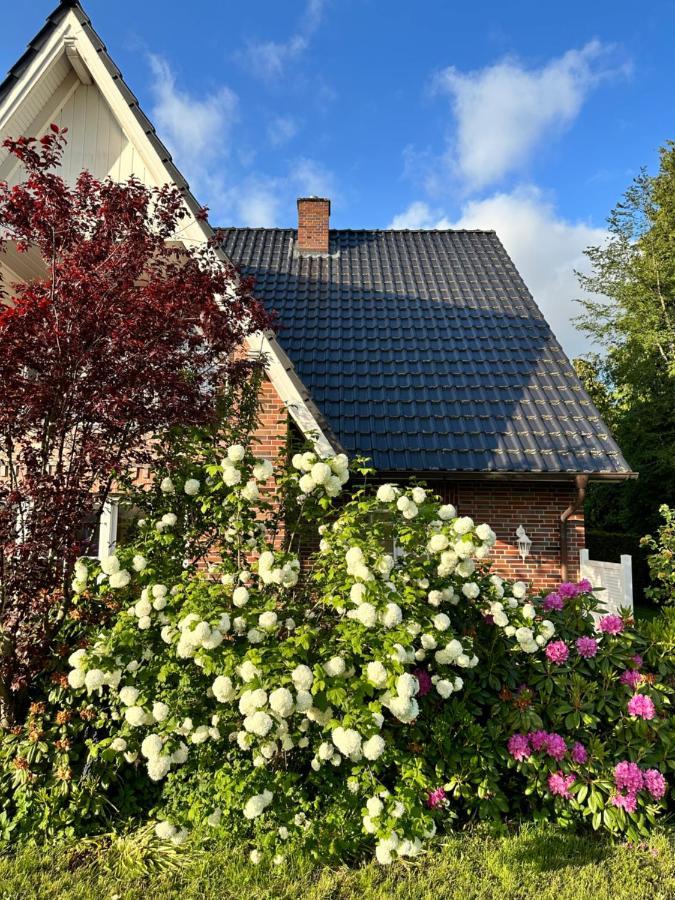 Ferienwohnung Louf Wiesmoor Exterior foto